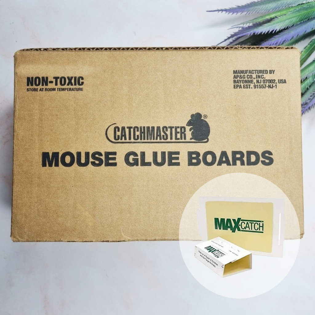 [Catchmaster®] Max-Catch Mouse & Insect Glue Trap 1 Piece #72MB กับดัก ...