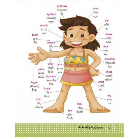 คำศัพท์-ระดับประถม1-6-อังกฤษ-ไทย-9786164302020-mis