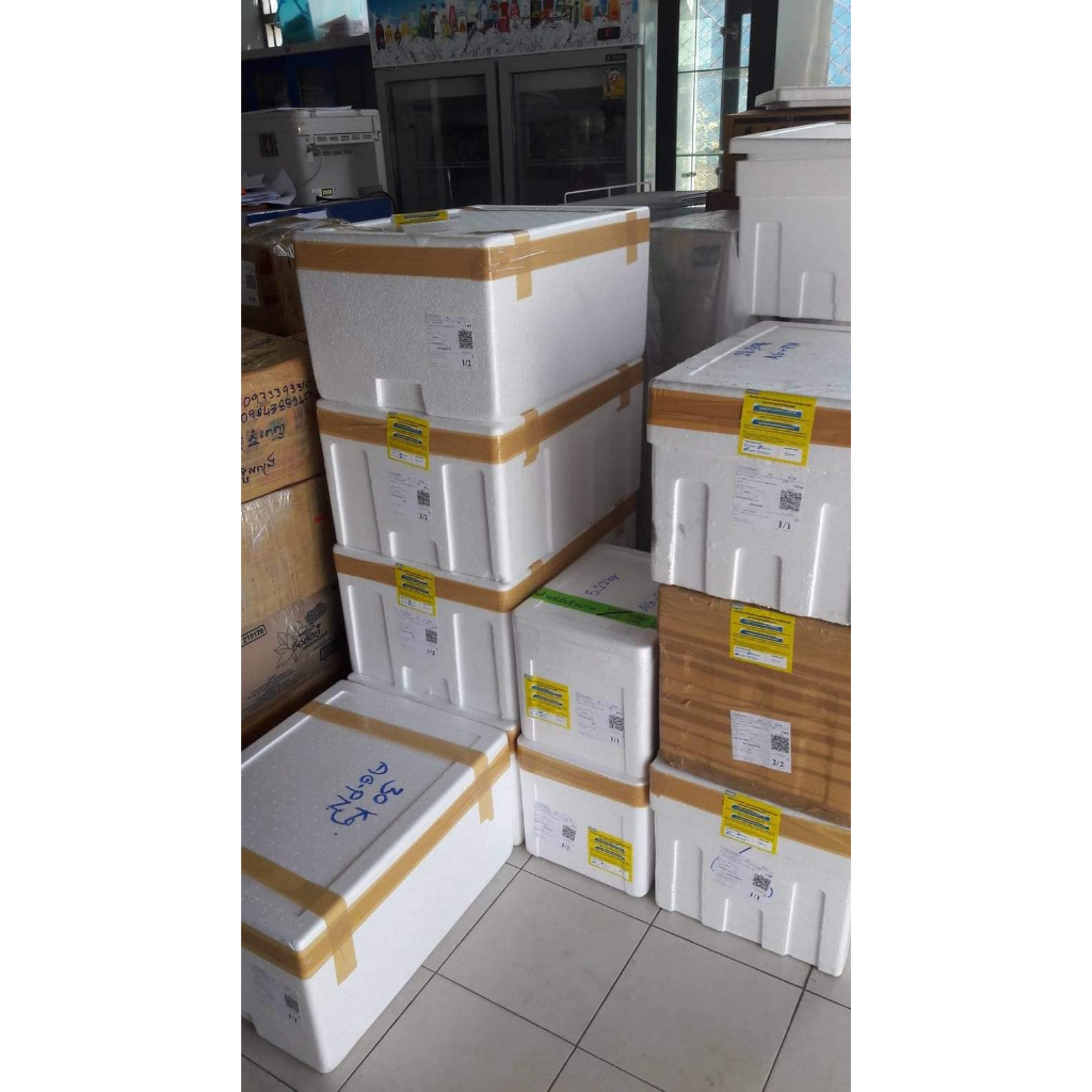 เนื้อกระต่ายฮาลาล ทั้งตัว (Halal Rabbit Meat) | Shopee Thailand