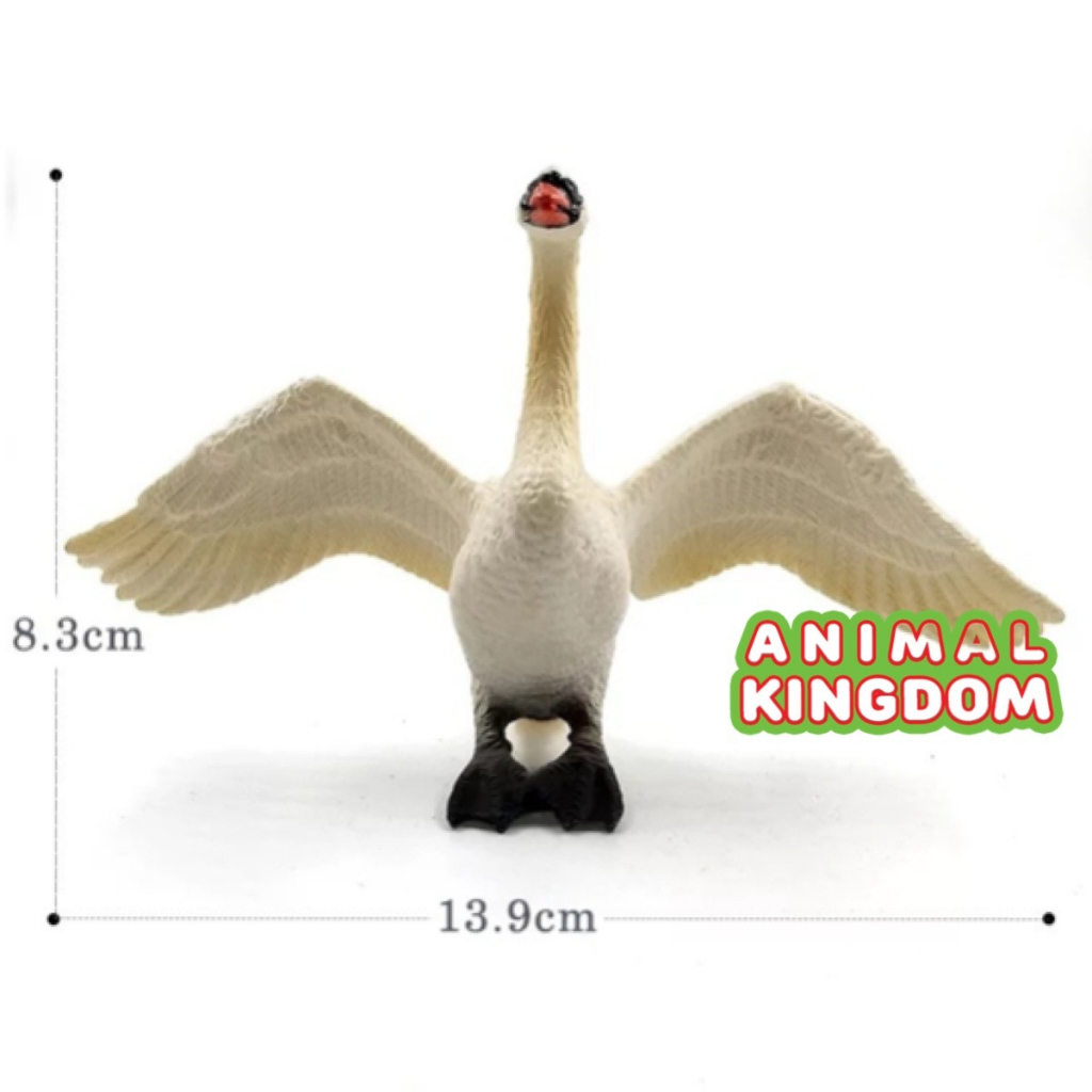 animal-kingdom-โมเดลสัตว์-หงส์-ขาวว-ขนาด-13-90-cm-จากสงขลา