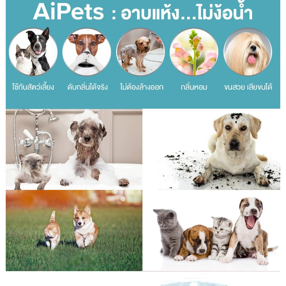 ภาพหน้าปกสินค้าAiPets150MLโฟมอาบน้ำแห้งหมาแมวสูตรอ่อนโยนกลิ่นหอมขนสวยสะอาดและดับกลิ่นจากน้ำแร่คุณภาพสูงสามารถเลียขนได้ปลอดภัย ส่งฟรี จากร้าน koratpattana_trading บน Shopee