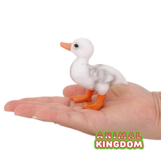 Animal Kingdom - โมเดลสัตว์ ลูกเป็ด ขาว ขนาด 8.00 CM (จากสงขลา)