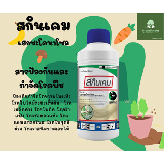 สกินเคม เฮกซะโคนาโซล 5%SC ขนาด 1ลิตร สารป้องกันกำจัดโรคกาบใบแห้ง โรคใบไหม้ระยะเริ่มต้น โรคเมล็ดด่าง