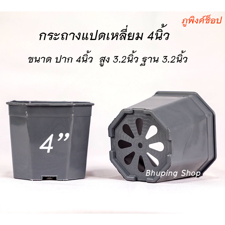 กระถางแปดเหลี่ยม-ขนาด-4-นิ้ว-ชุด-35-ใบ-ขายถูกมาก-กระถางแคตตัส-กระถางพลาสติกเกรดa-กระถางเหลี่ยม-ยืดหยุ่น-ทนทาน