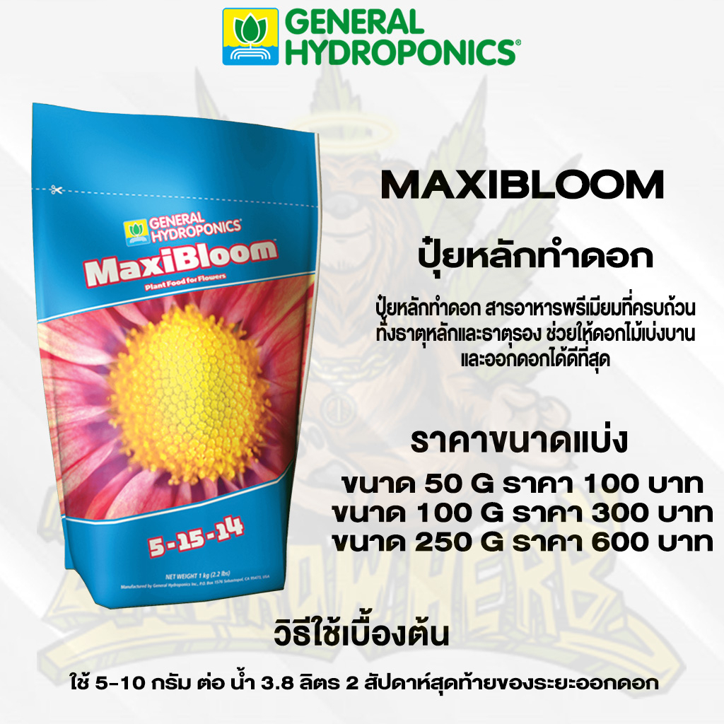 general-hydroponics-maxibloom-ปุ๋ยหลักทำดอก-และธาตุอาหารรองตามที่พืชต้องการเพื่อให้พืชมีคุณภาพที่ดีที่สุด-50-100-250g