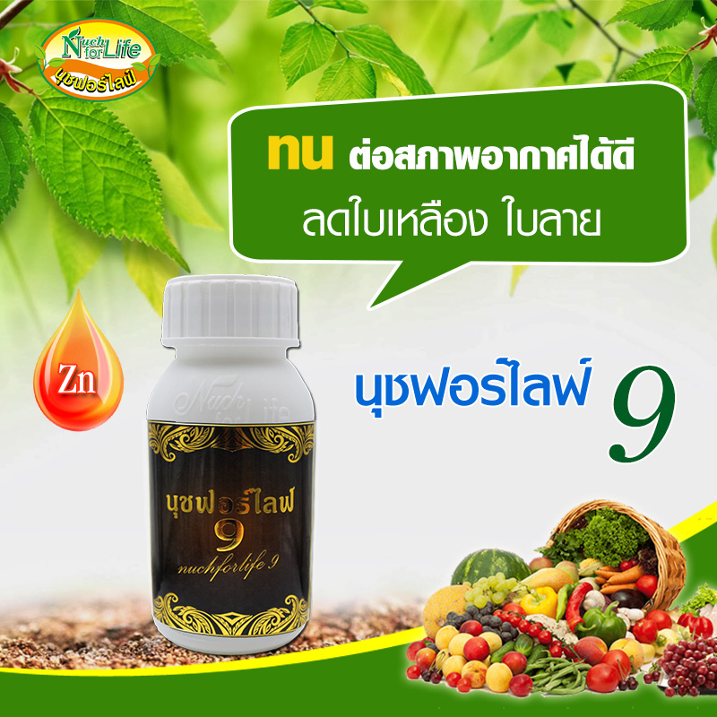 นุช1-2-9-ขนาด-100cc-เกษตรนุชฟอร์ไลฟ์