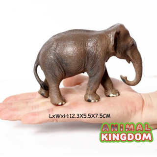 Animal Kingdom - โมเดลสัตว์ ช้างเอเชีย ขนาด 12.50 CM (จากหาดใหญ่)