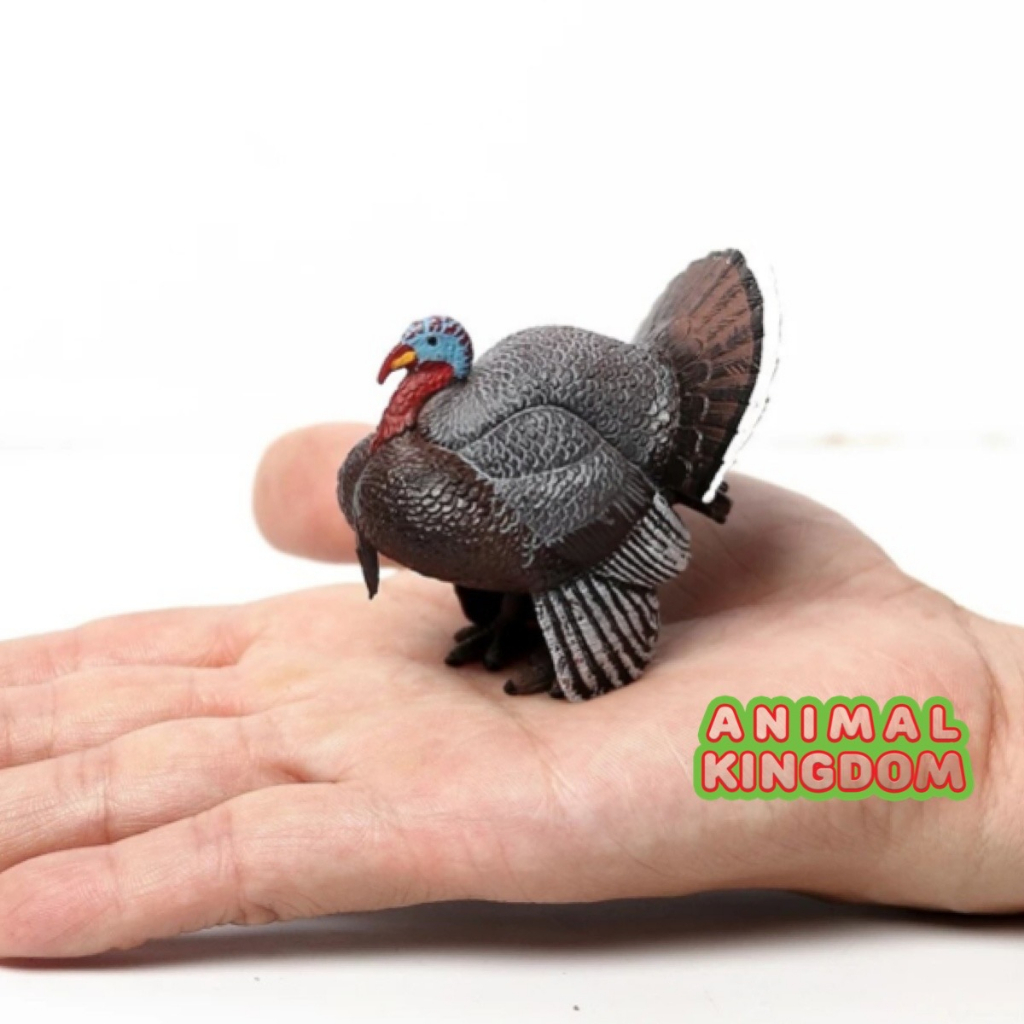 animal-kingdom-โมเดลสัตว์-ไก่งวง-ขนาด-6-00-cm-จากสงขลา