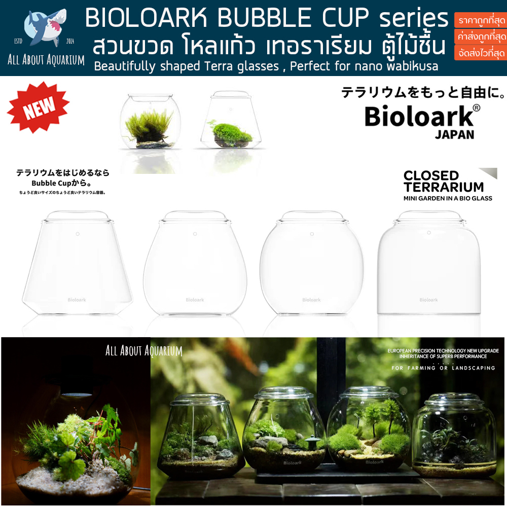 bioloark-bubble-cup-mini-bio-bottle-terrarium-จัดสวนในขวดแก้ว-ขวดโดมแก้ว-สวนขวด-สวนจิ๋ว-เทอทาเรี่ยม-ตู้ไม้ชื้น-bio-loark