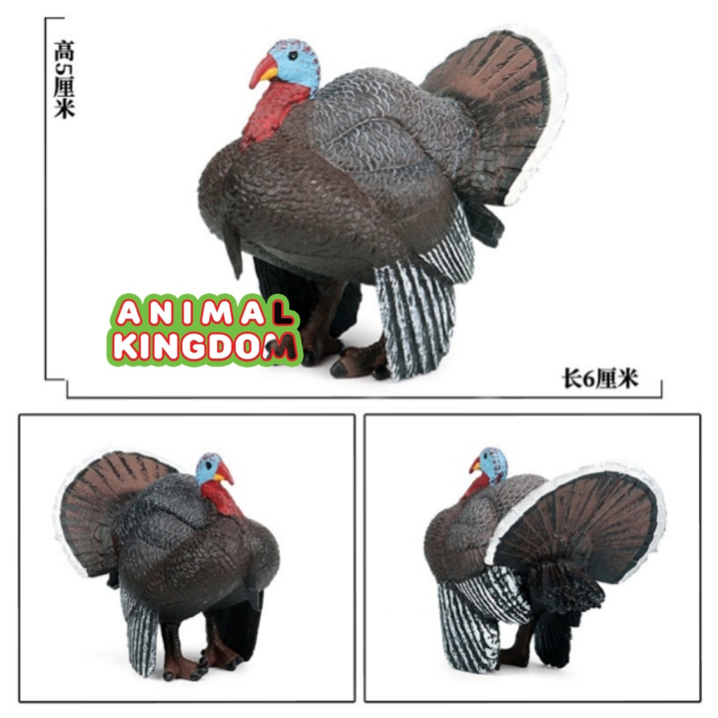 animal-kingdom-โมเดลสัตว์-ไก่งวง-ขนาด-6-00-cm-จากสงขลา