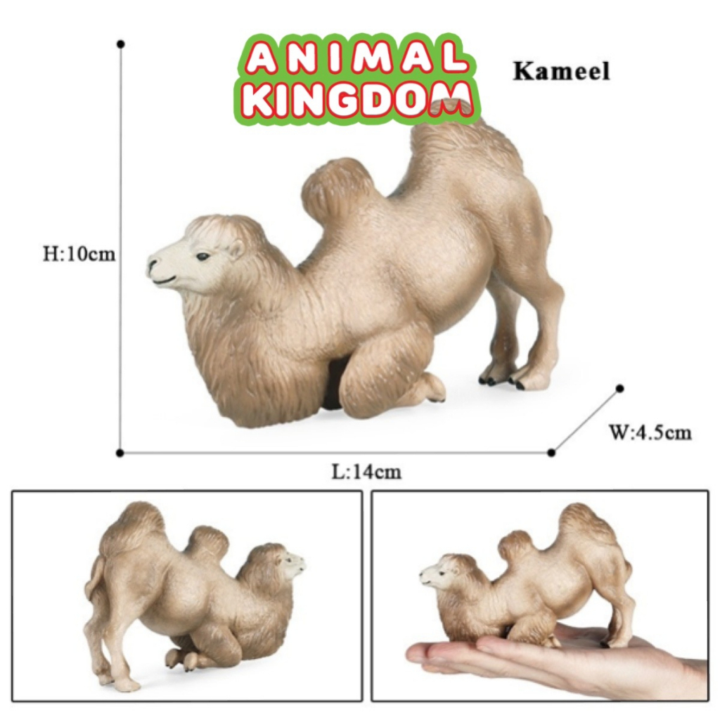 animal-kingdom-โมเดลสัตว์-อูฐ-สองหนอก-หมอบครีม-ขนาด-14-00-cm-จากหาดใหญ่