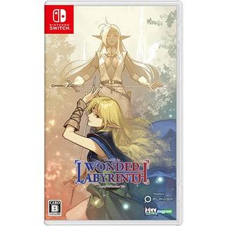 Record of Lodoss War-Deedlit in Wonder Labyrinth - - Switch software brand new English support direct from Japan