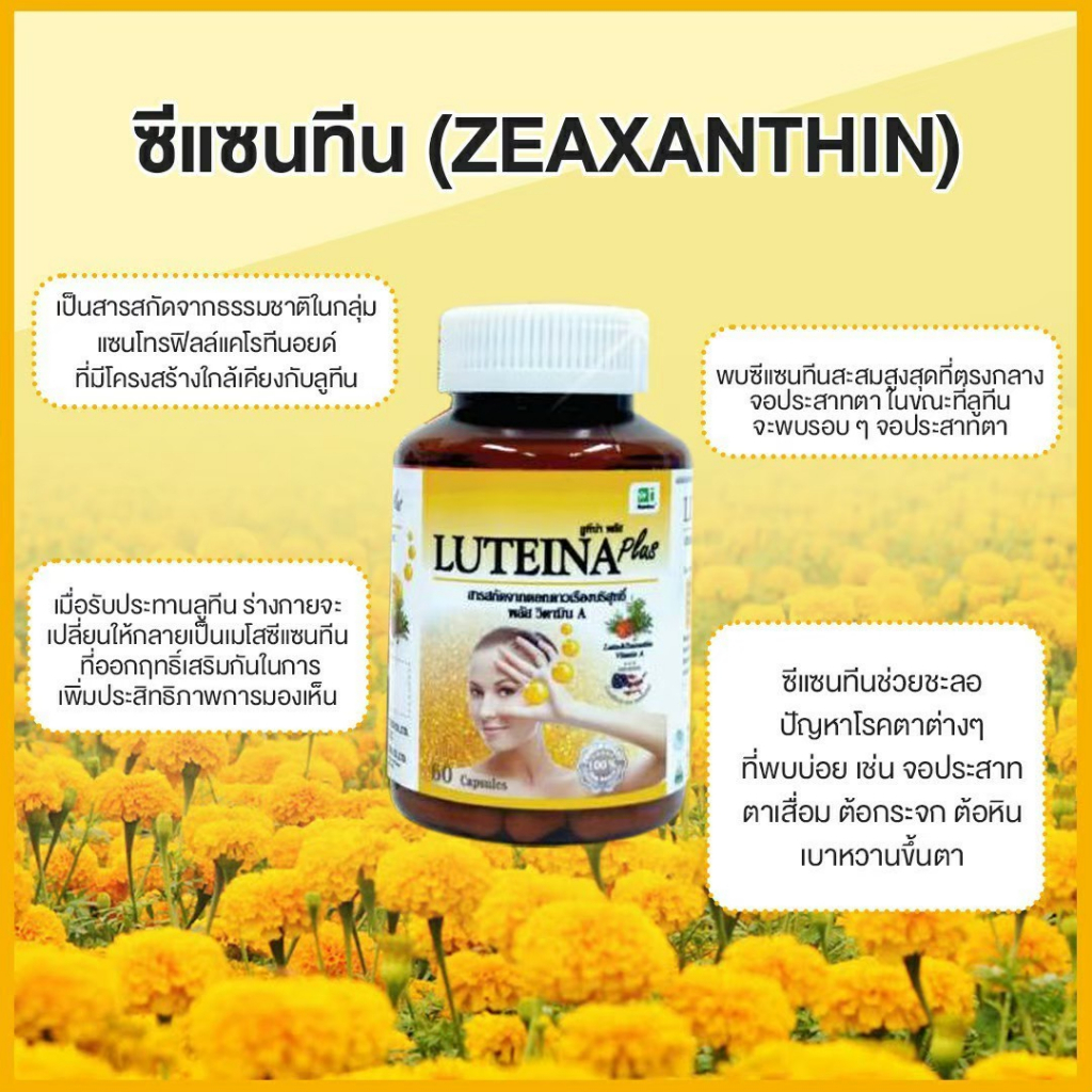 ภาพสินค้าลูทีน่า พลัส Luteina Plus บำรุงสายตา ราคาพิเศษ ยิ่งซื้อยิ่งลด ฟรี Vit C 30เม็ด *มีของแถมทุกออเดอร์ จากร้าน luteinaplus บน Shopee ภาพที่ 2