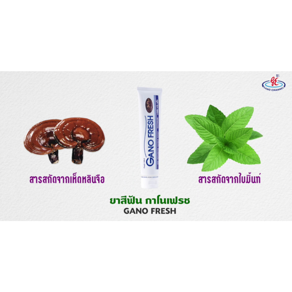 ยาสีฟัน-กาโนเฟร็ช-ผสมเห็ดหลินจือ-gano-fresh-ยาสีฟันกาโน