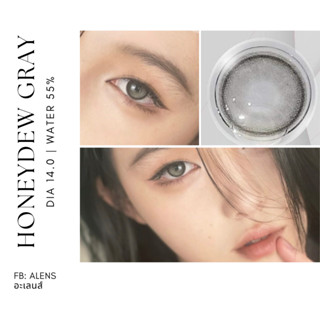 Honeydew gray | คอนแทคเลนส์รายเดือน ค่าอมน้ำ 55%