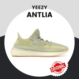 Adidas Yeezy Boost 350 V2 Antlia