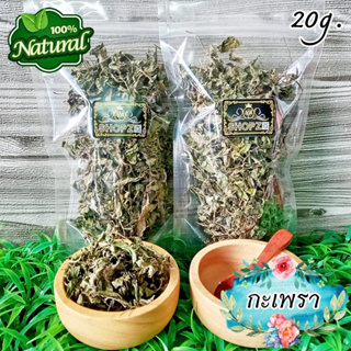 ภาพหน้าปกสินค้า🍃ผักอบแห้ง🍃 ใบกะเพรา กะเพราอบแห้ง ขนาด 20 กรัม Dried Holy Basil Leaves ซึ่งคุณอาจชอบราคาและรีวิวของสินค้านี้