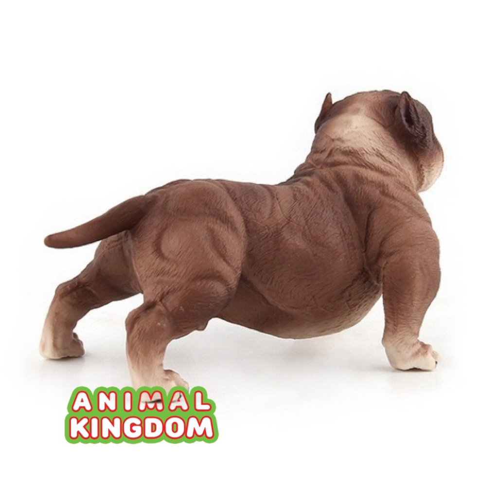 animal-kingdom-โมเดลสัตว์-สุนัข-หมาพิทบูล-น้ำตาล-ขนาด-13-60-cm-จากหาดใหญ่