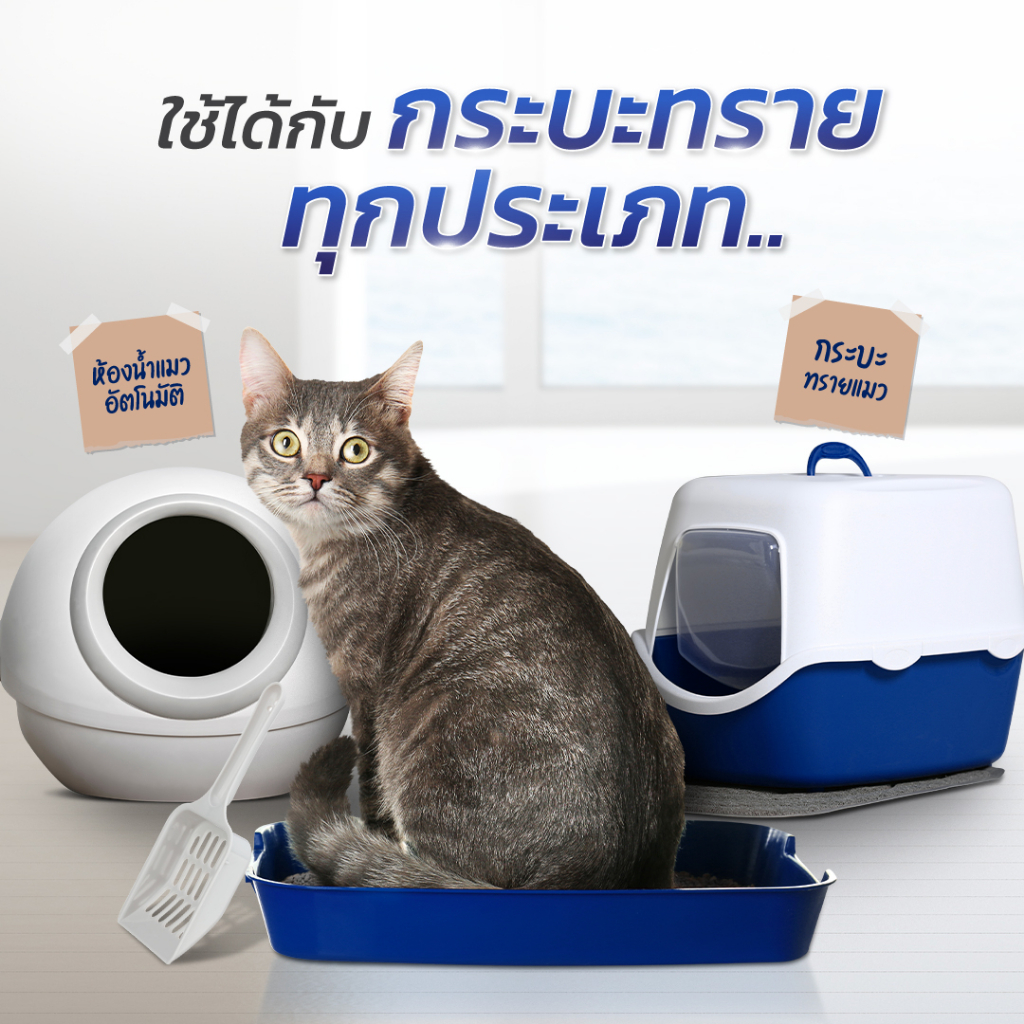 Gager (10 กิโล) ทรายแมวภูเขาไฟ ทรายแมวเบนโทไนท์ Bentonite ดับกลิ่นได้ดีเยี่ยม เกรดพรีเมียม รูปที่ 3