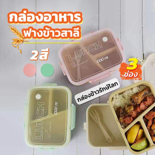กล่องอาหารฟางข้าวสาลี กล่องอาหาร กล่องข้าวรักษ์โลก 3 ช่อง กล่องข้าว ถอดแยกชิ้นได้ มี 2 สี กล่องอาหารวัสดุธรรมชาติ