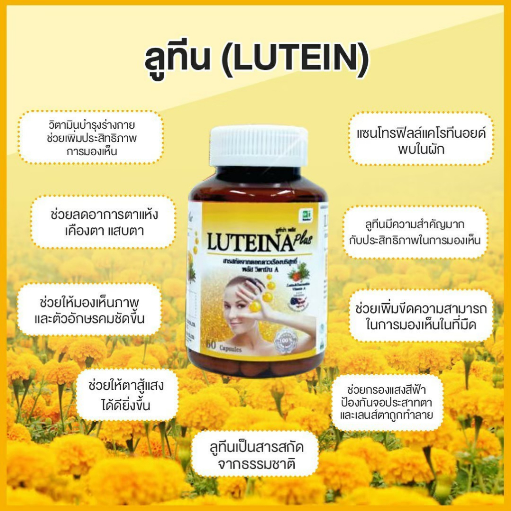 ภาพสินค้าลูทีน่า พลัส Luteina Plus บำรุงสายตา ราคาพิเศษ ยิ่งซื้อยิ่งลด ฟรี Vit C 30เม็ด *มีของแถมทุกออเดอร์ จากร้าน luteinaplus บน Shopee ภาพที่ 3