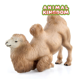 Animal Kingdom - โมเดลสัตว์ อูฐ สองหนอก หมอบครีม ขนาด 14.00 CM (จากหาดใหญ่)