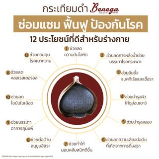 ภาพขนาดย่อของภาพหน้าปกสินค้ากระเทียมดำ แกะเปลือก Benega นุ่มหนึบ ไม่เละ ไม่แฉะ ทานง่าย ได้รับใบมาตรฐานระดับสากล ( จำนวน 8 กระปุก ขนาด 160x8 กรัม ) จากร้าน benega_official บน Shopee ภาพที่ 4