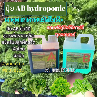 ปุ๋ยไฮโดรโปนิกส์ ปุ๋ยAB ปุ๋ยน้ำ ปุ๋ยผักสลัด สำหรับปลูกผัก Hydroponics ขนาด1000ML New สูตรเข้มข้น