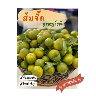 ส้มจี๊ด ส้มมะปี๊ด จากสวน (Organic) ส่งตรงจากสวนคุณธัน (สุราษฎร์ธานี) photo