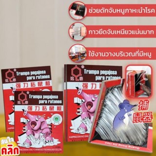 magic mouse trap แผ่นกาวดักหนูมหัศจรรย์ ่า