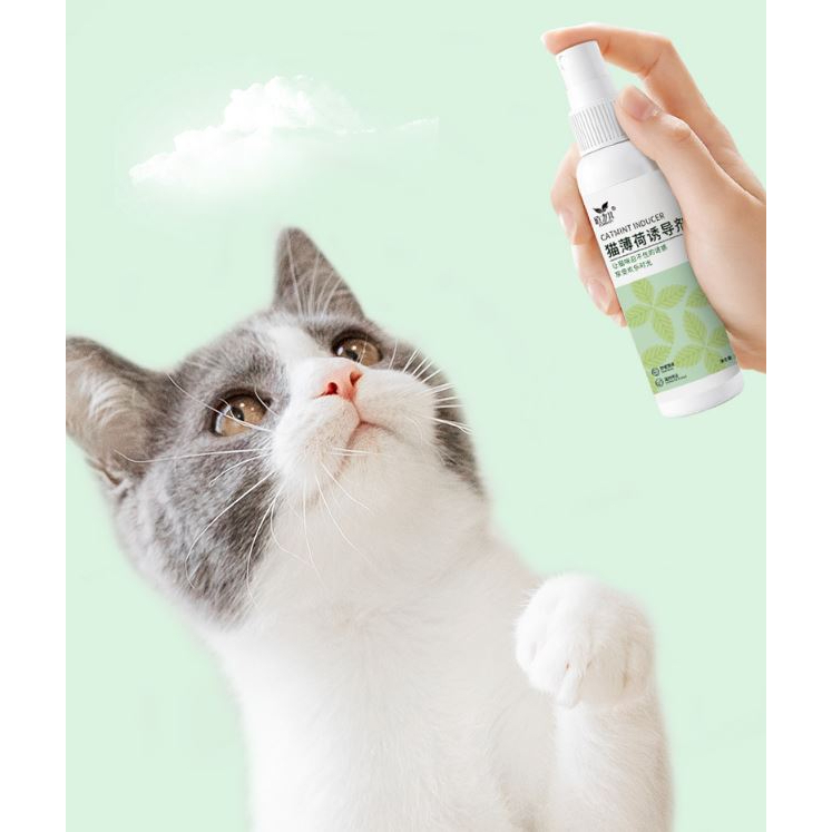 catmint-catnip-แบบน้ำ-ฉีด-ทำให้แมวอารมณ์ดี-120ml