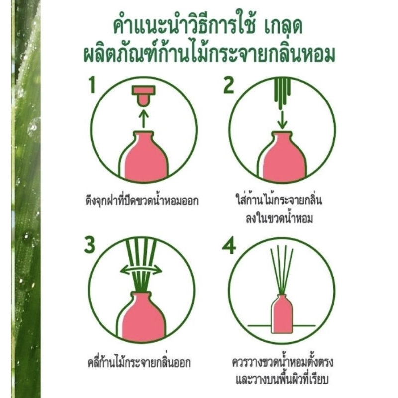 Glade Aromatherapy Reed Diffuser 80 ml | Shopee Thailand