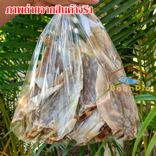 ปลาบ่งนา ปลาตากแห้งพม่า (เป็นปลาเนื้อเค็ม) ทอดกินอร่อย แกงก็อร่อย ขนาด500กรัม-1กิโลกรัม สะอาด อร่อย ส่งเร็ว