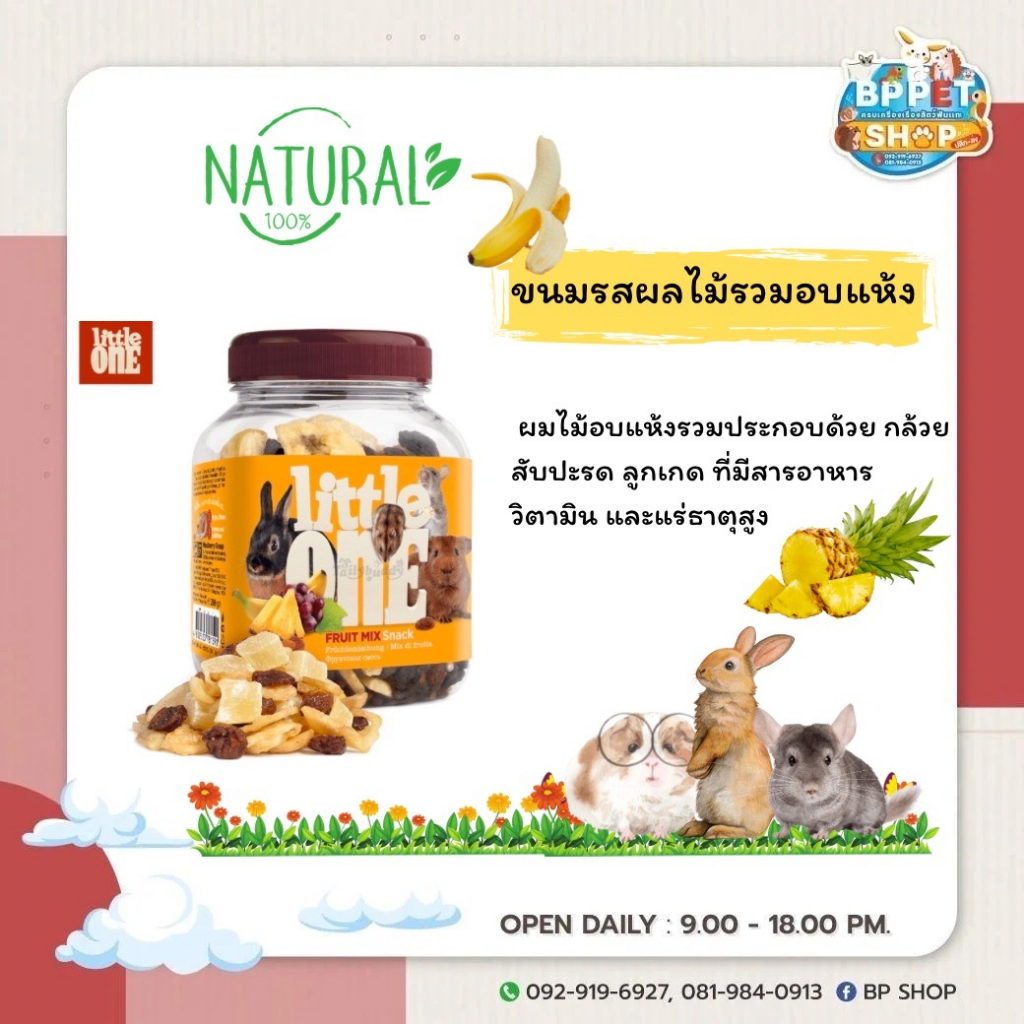 bp-pets-ขนมกระต่าย-แกสบี้-ชินชิลล่า-little-one-ขนมหนูแฮมเตอร์-กระรอก-ชูก้าร์ไกลเดอร์-ขนมสัตว์เล็ก