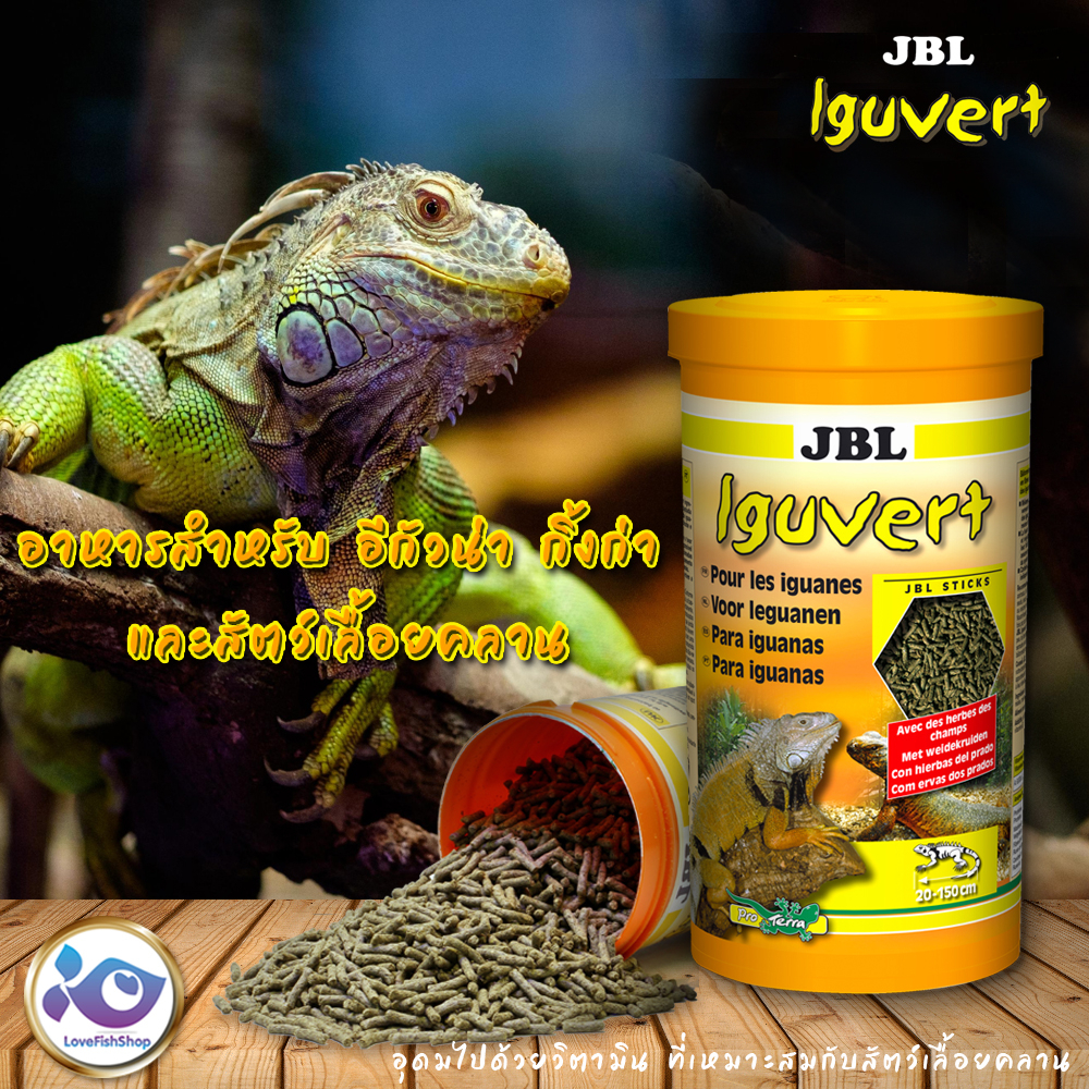 jbl-iguvert-105g-250ml-อาหารสำหรับ-อีกัวน่า-กิ้งก่า-และสัตว์เลื้อยคลานกินพืช-made-in-germany