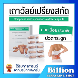 [ ส่งฟรี ] เถาวัลย์เปรียงสกัด ตรา กิฟฟารีน ยาแผนโบราณ ยาสามัญประจำบ้าน บรรเทาอาการปวดเมื่อย ปวดหลัง