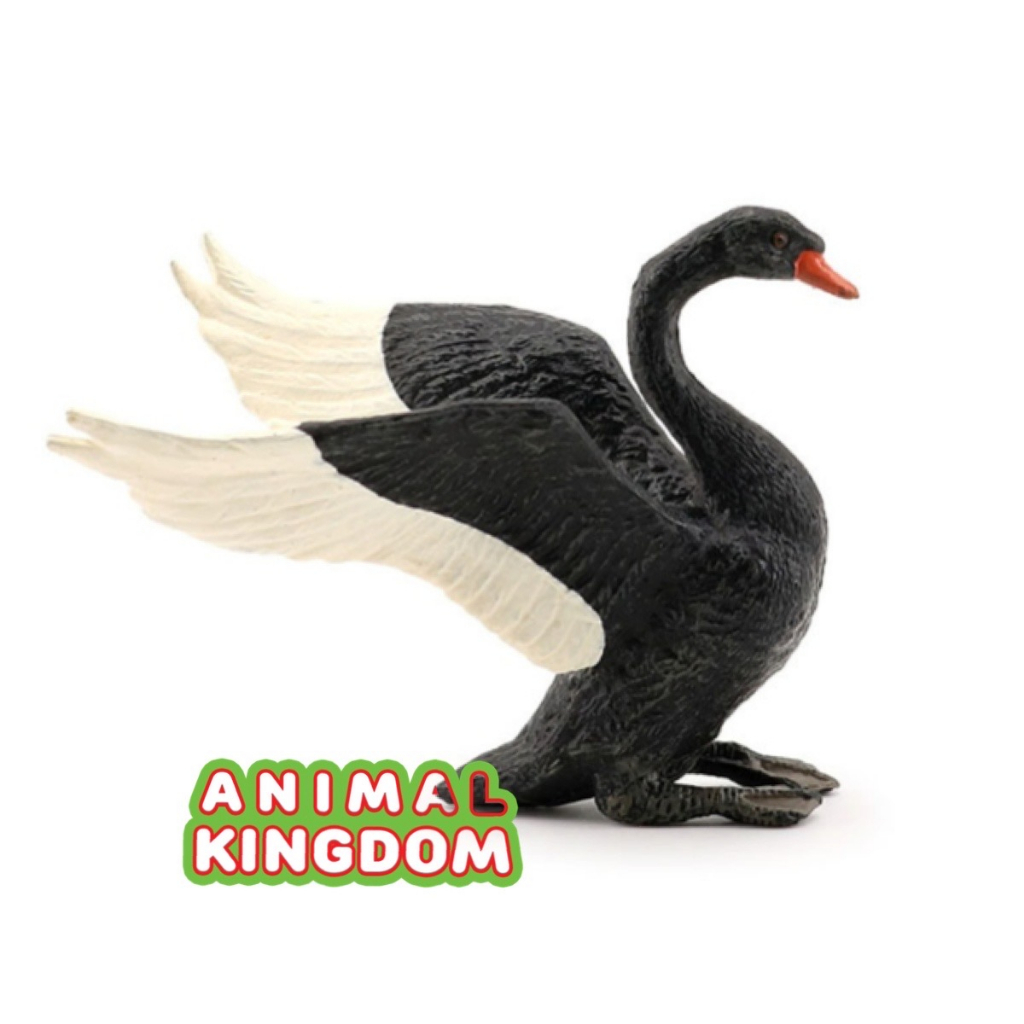 animal-kingdom-โมเดลสัตว์-หงส์-ดำ-ขนาด-12-00-cm-จากสงขลา