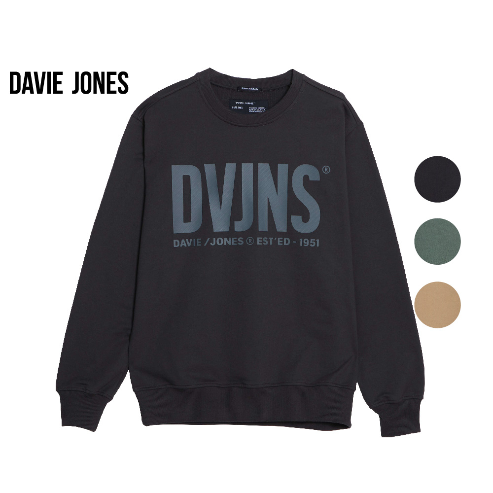 davie-jones-เสื้อสเวตเตอร์-ทรง-regular-fit-พิมพ์ลายโลโก้-สีกากี-สีเขียว-สีเทา-logo-print-sweater-sw0020kh-lg-gy