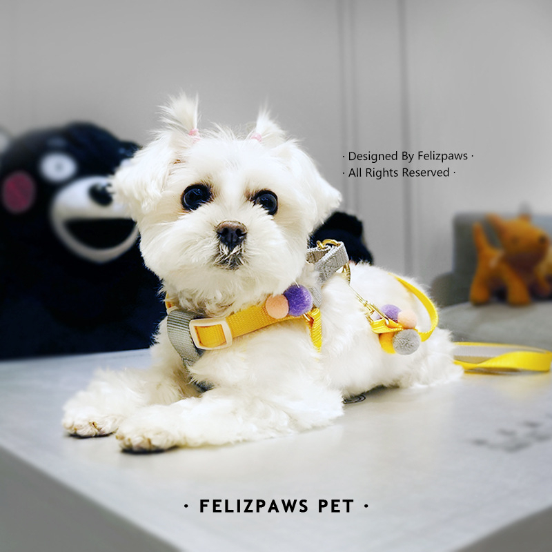 felizpaws-ชุดสายจูง-สายจูงสุนัข-ทูโทน-สำหรับสุนัขพันธุ์เล็ก-ตกแต่งปอมปอม