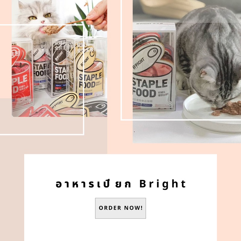 อาหารเปียก-bright-staple-food-เป็นอาหารหลัก