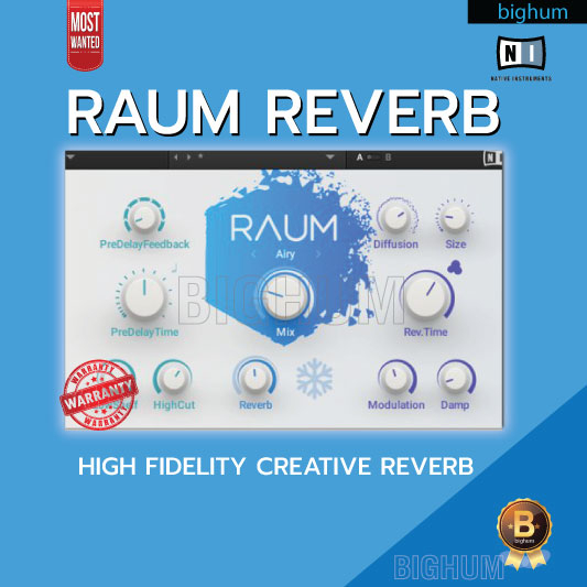 ภาพหน้าปกสินค้าNative Instruments RAUM Reverb Plug-in  Win/Mac  Reverb ที่ชาว Sound Design ไม่ควรพลาด จากร้าน bighum บน Shopee