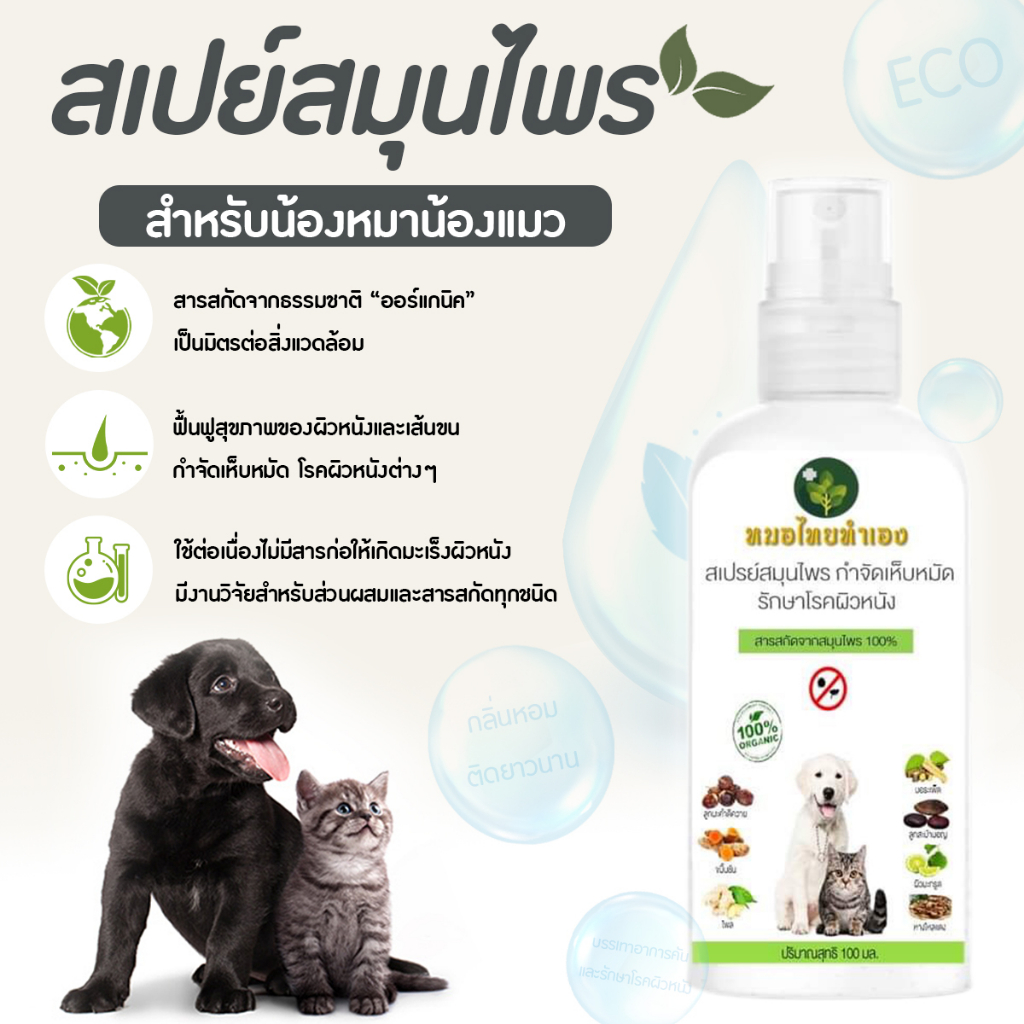 ภาพสินค้าหมอไทยทำเอง สเปรย์บรรเทาโรคผิวหนัง ไล่ ป้องกันเห็บหมัด ขี้เรื้อนสุนัข แมว เชื้อรา ยีสต์ คันเกา 100 ml. สมุนไพร จากร้าน mestock2022 บน Shopee ภาพที่ 5