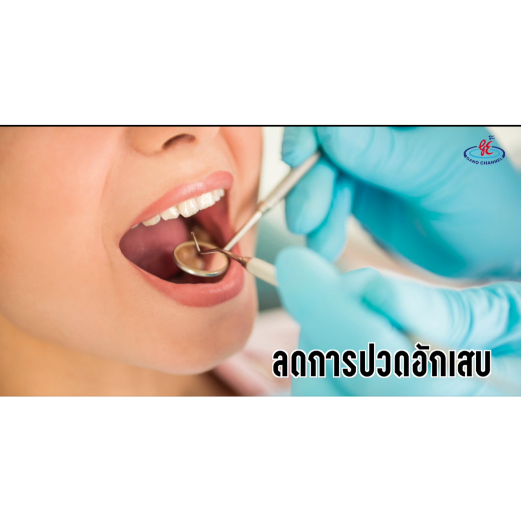 ยาสีฟัน-กาโนเฟร็ช-ผสมเห็ดหลินจือ-gano-fresh-ยาสีฟันกาโน