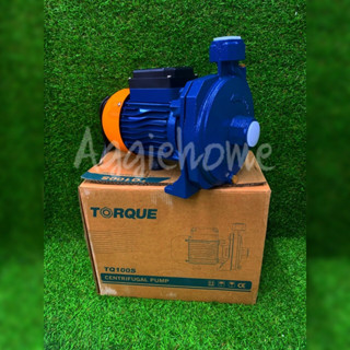 TORQUE ปั๊มไฟฟ้า รุ่น TQ100S 750วัตต์ 1HP 230V ท่อออก 1x1นิ้ว HEADMAX 30เมตร ปั๊มหอยโข่ง ปั๊มน้ำ ดูดน้ำ ปั๊ม