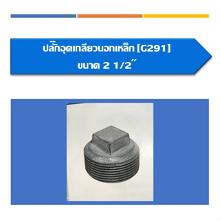 ปลั๊กอุดเกลียวนอก เหล็ก ขนาด 2 1/2