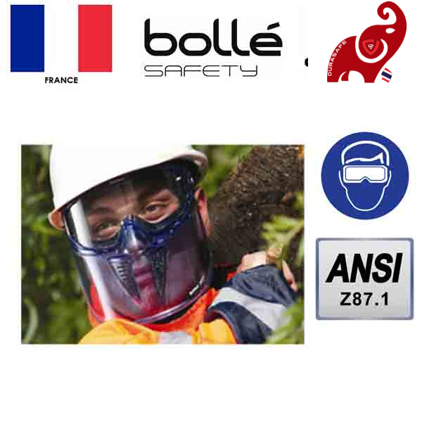 bolle-blast-blv-visor