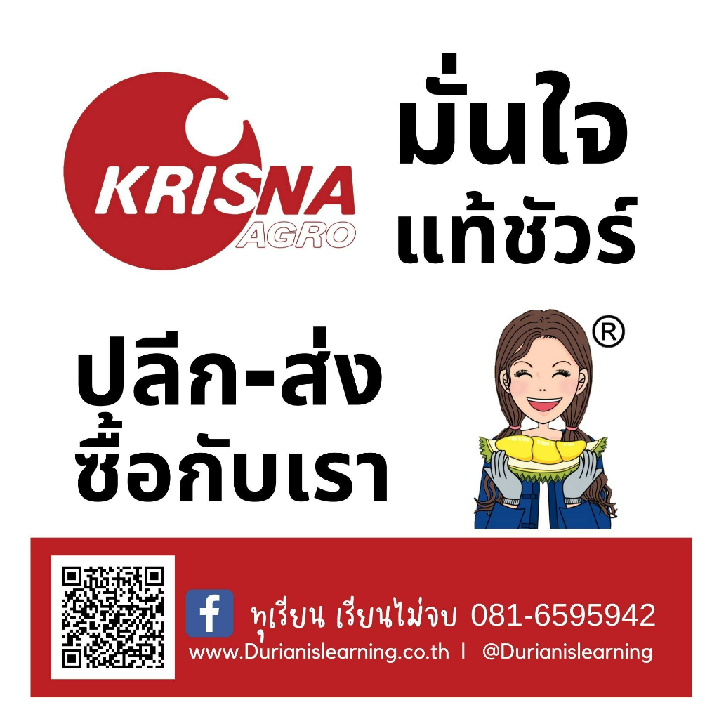 ชุดอาหารเปิดตาดอก-เพิ่มเปอร์เซ็นต์การออกดอก-ดอกดก-ติดดอกดี-ดอกสมบูรณ์