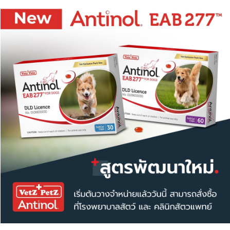 antinol-eab-277-for-dogs-กล่อง-60-เม็ด-สูตรปรับปรุงใหม่-ของแท้มีสติ๊กเกอร์รับประกันหน้ากล่อง