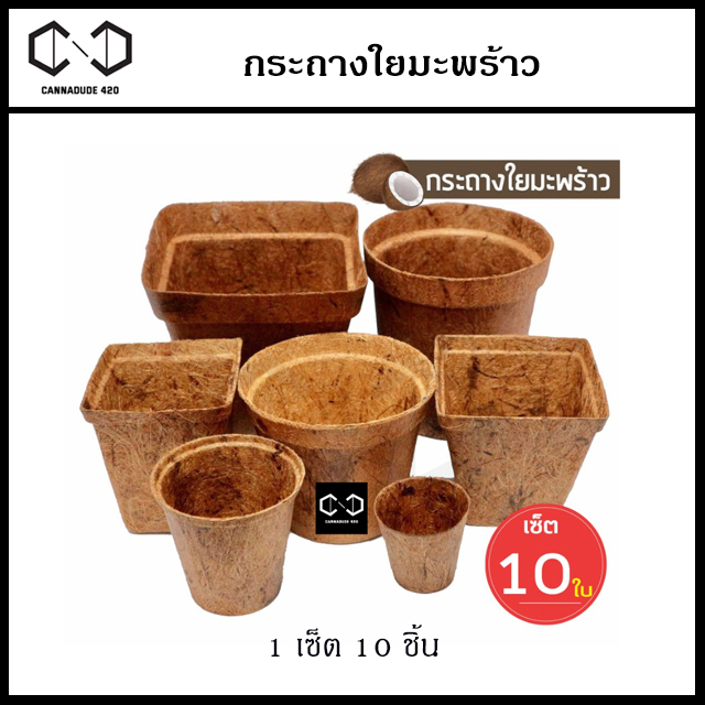 แพ็ค-10-ชิ้น-กระถางต้นไม้ใยมะพร้าว-กระถางใยมะพร้าว-กระถาง-gallon-pot-coco-pot