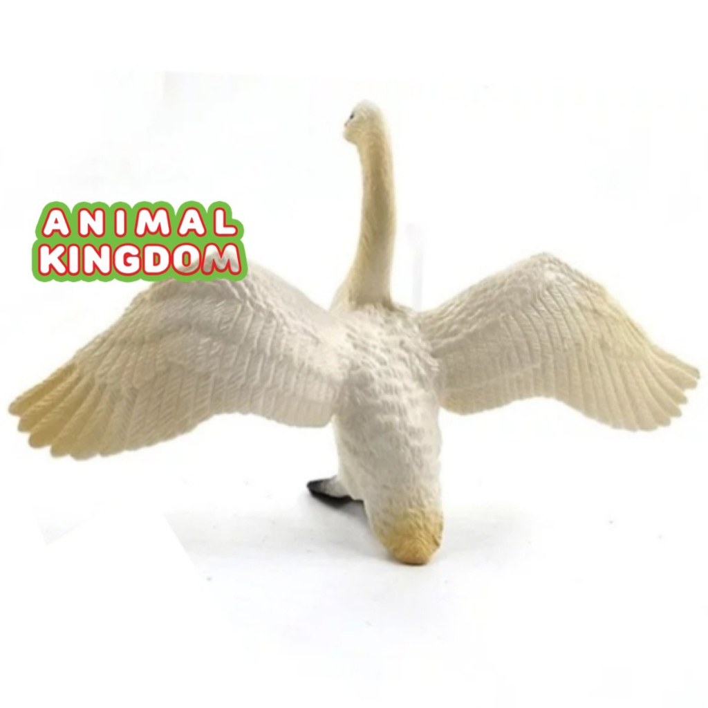 animal-kingdom-โมเดลสัตว์-หงส์-ขาวว-ขนาด-13-90-cm-จากสงขลา